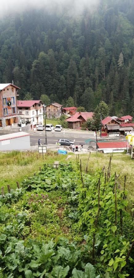 Villa Zafran Ayder Yaylasi Luaran gambar