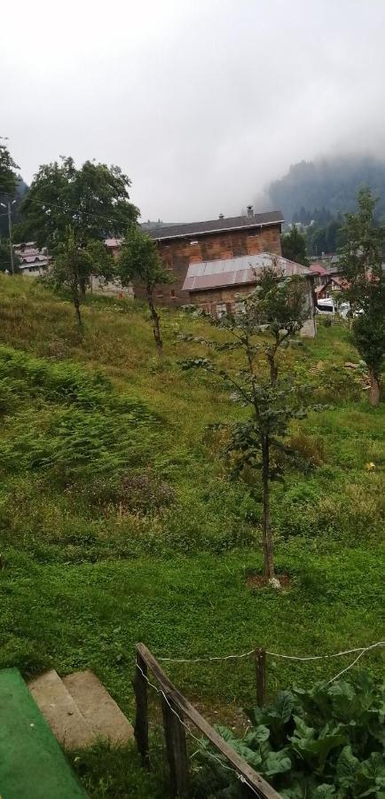 Villa Zafran Ayder Yaylasi Luaran gambar