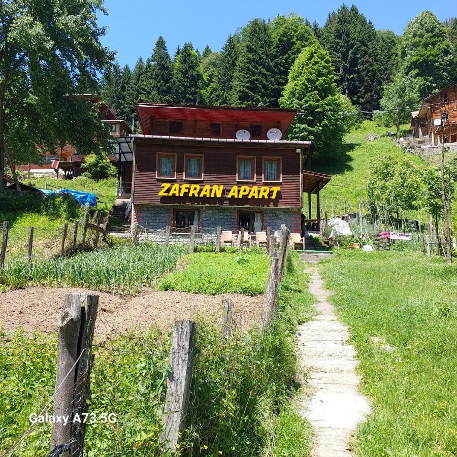 Villa Zafran Ayder Yaylasi Luaran gambar